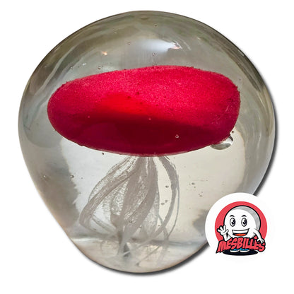 1 petite Bille Méduse Brille dans l'obscurité