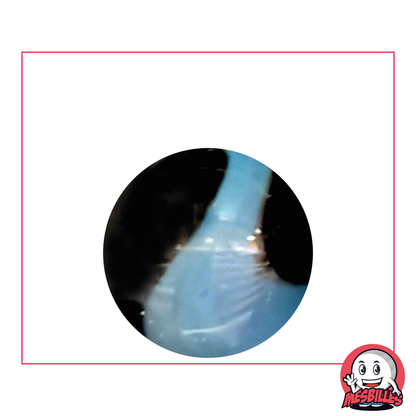 1 Bille Typhon 25 mm